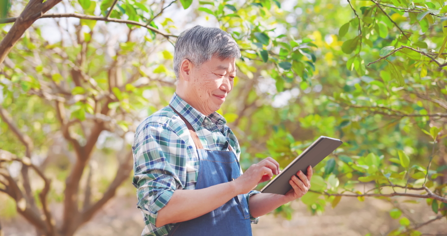 agriculture concept - slow motion of asian senior farmer man is using digital tablet computer to analysis data and smile at you in orchard Royalty-Free Stock Footage #1068614384