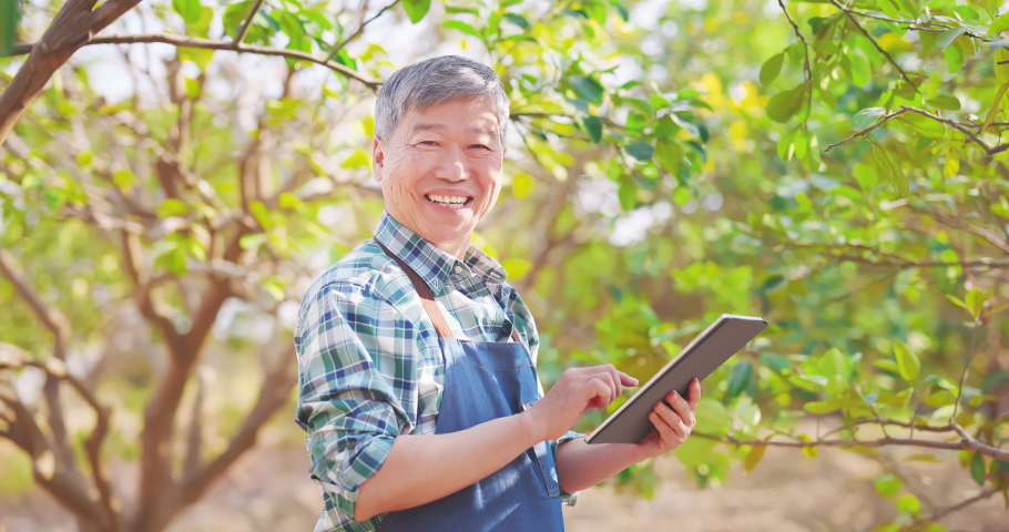 agriculture concept - slow motion of asian senior farmer man is using digital tablet computer to analysis data and smile at you in orchard Royalty-Free Stock Footage #1068614384