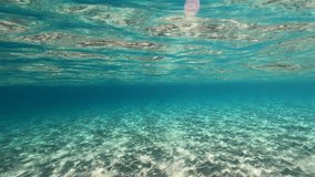 Underwater video of iconic exotic tropical sea bed in turquoise beach of Elafonisi a true paradise in Crete island, Chania, Greece