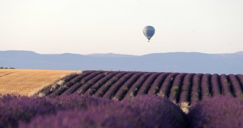 Lockdown shot of hot air balloon flying on lavenders against clear sky - Valensole Provence, France