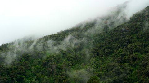 Lockdown: Wispy Clouds Under Overcast Sky Blow Gently Over A Dense Jungle Clad Hill