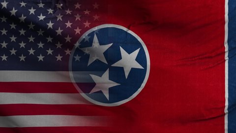 Tennessee State USA Mixed Flag 4K