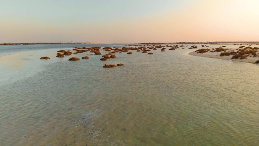 Drone fly low altitude over ocean sea mangrove shrubs in Abu Dhabi during sunset