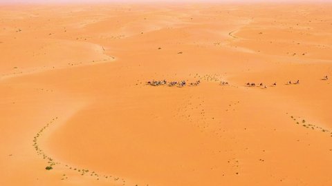 Aerial view of a Camel cavalcade on Arabian desert Yemen - tracking drone shot