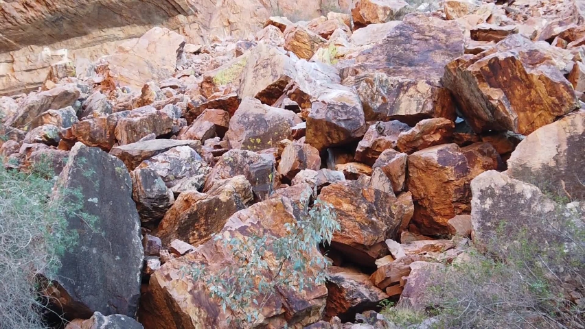 SLOW MOTION: Australian outback wildlife. Black-footed rock wallaby jumping along the walking track into Simpsons Gap, West MacDonnell Ranges National Park, Northern Territory, Australia.