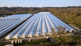 Slow drone shot over rows of undercover farming - Powered by Shutterstock - Get 15% off with code: PIKWIZARD15