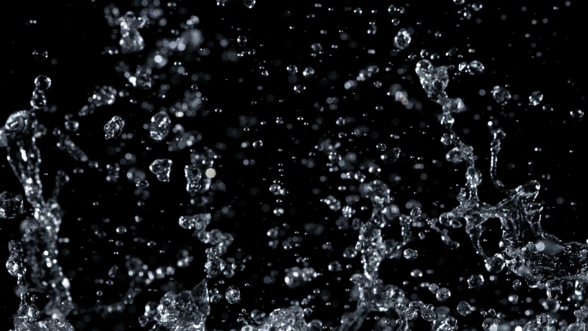 Shutterstock Video