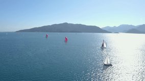 Sailing Race on a Sunny Day with Drone