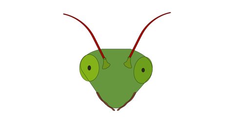 praying mantis face drawing