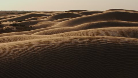 Shooting a windy, hot day in a dry area. The wind carries sand in the desert, forming dunes. Beautiful shifting patterns on the sand and long shadows at sunset or dawn