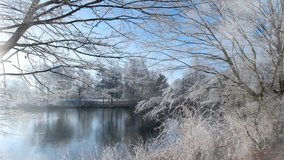 Video of Sunny Winter Scenery Background.