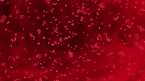 3d Loop Animation Red blood cells inside an artery, vein. The flow of blood inside a living organism. Science and medical microbiological. Enrichment with oxygen, important nutrients concept.