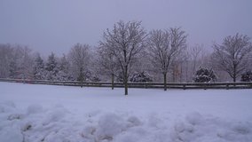 This is a beautiful winter post card view of a snow covered park during a blizzard. 
