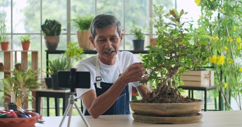 Senior gardener Asian man blogger review beautiful Bonsai tree plants on social media by streaming live from his shop. Online influencer elderly marketing concept.