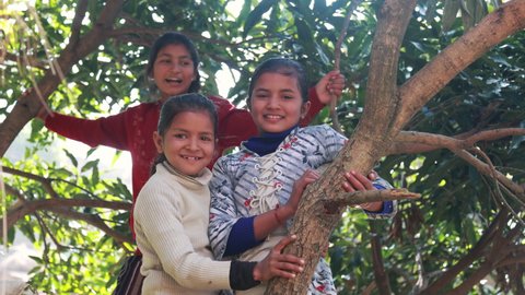 Group of happy Indian Children playing together in village by climbing tree branches. swinging green tree branch, laughing, outdoors on a sunny day