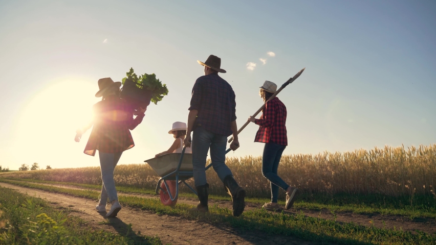 happy children of farmer work team with parents in field.little children with father,mother sunset silhouette.Happy family parents, children working in field in .concept of agriculture,teamwork,farmer Royalty-Free Stock Footage #1068765974