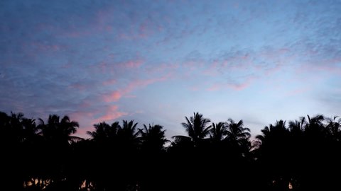 Colorful clouds hovered over the top of the coconut in the morning.