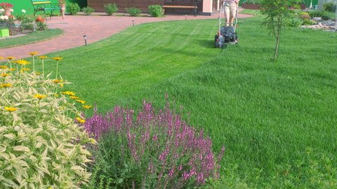 A woman is pushing a lawn mower. Back yard of the house. Landscaping. Lush green lawn and brown paving stones. A flower garden in the foreground. Front view.