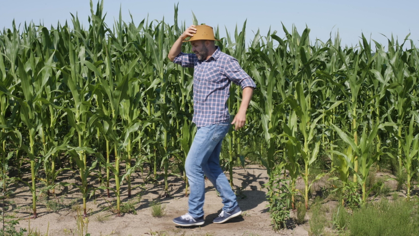 Happy Male Farmer Dancing Enjoying in Corn Field. Man Worker Celebrating Funny Viral Dance Freedom. Excited Celebrating Success, Achievement Dancing. Creative Person Successful Joyful Happy Cheerful. Royalty-Free Stock Footage #1068781490