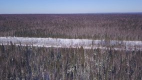 Top view of forest with track in winter. Clip. Endless pine forest interrupted by stretch of highway on winter day. Landscape with winter forest to horizon and snow track on sunny day