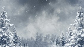 Video of Winter background loop 