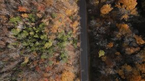 4K amazing aerial clip birds eye view watching two cars round a very steep and sharp hairpin curve at Forks of the Credit during beuaitful fall foliage