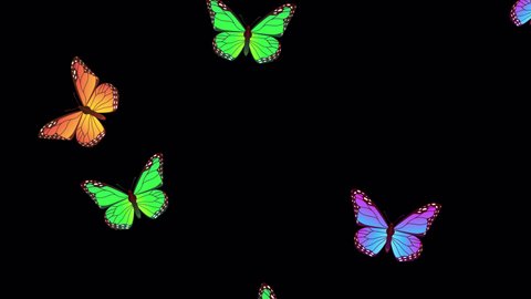 beautiful spring and summer design animation with butterflies on transparent background with ALPHA CHANNEL. Looped animated stock footage. Colorful butterflies flying up 2d style