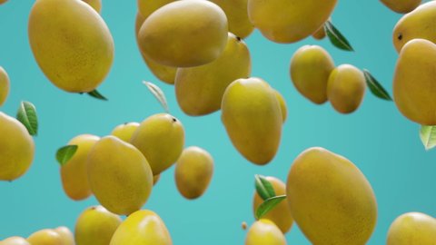Slow-motion juicy fresh mangoes falling down seamless endless loop backdrop mango background