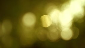 blurred bokeh of nature, light and green nature blurred for background, nature video background