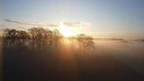 Aerial foggy sunrise in the fields