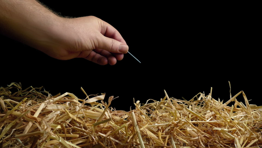 Finding Needle In Haystack Stock Video Footage K And Hd Video Clips Shutterstock