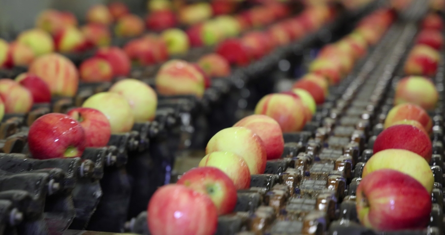 Clean fresh apples moving on conveyor sorting and grading by the machine in a fruit packing warehouse, slow motion | Shutterstock HD Video #1068858596