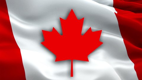 Canada flag. video waving in wind. Realistic Canadian Flag background. Red maple leaf flag Closeup 1080p HD video. Ottawa 1080p Full HD 1920X1080 footage video waving.Canada seamlessly looping footage