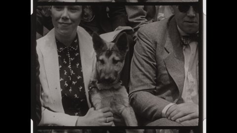 1940s Queens, NY. West Side Tennis Club. Man, Woman and German Sheppard watch the Ball Bounce Back in Forth during a Tennis Match. Funny Clip of a Dog acting like a Human. 4K Overscan of 16mm Film  