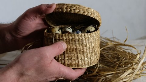 The farmer opens a wicker box with fresh quail eggs and takes out one egg.