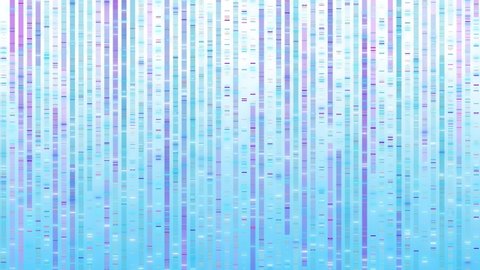DNA Genome sequencing the bases of a fragment of DNA for gene therapy