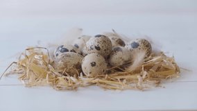 Quail eggs in a nest on a white background