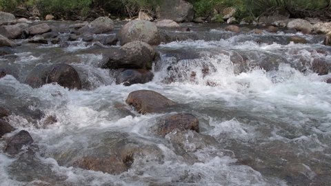 Fast stream among wet rocks. On rocky shore vegetation and trees. Cliffs divide river into several streams. Bubbling and splashing water