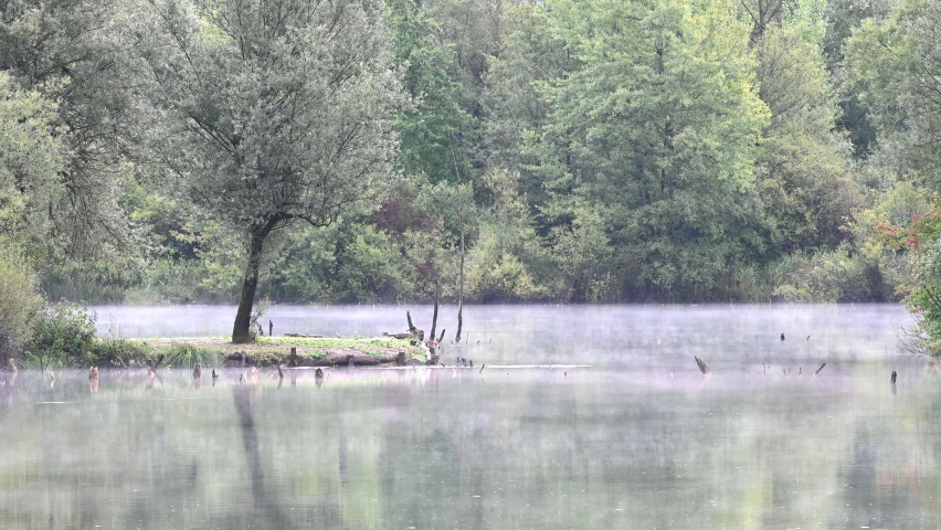 Misty lake on a rainy day