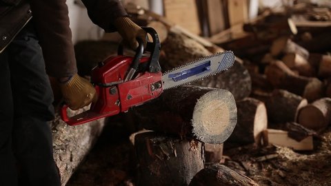 A man holds a chainsaw and saws a tree. Sawdust is flying. close-up of a man holding a chainsaw cutting firewood. Hardwood processing.