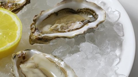 Plate with fresh raw open Pacific oysters on ice close up 