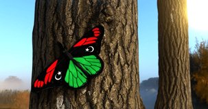 Flag of Libya on Butterfly Wings Realistic 4K UHD 60FPS