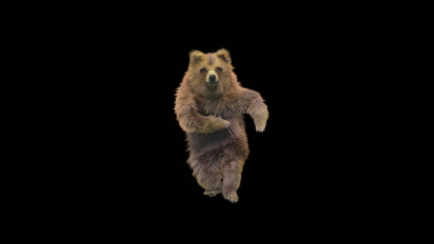 
Bear Dancing CG fur 3d rendering animal realistic composition 3d mapping cartoon, Animation Loop, Included in the end of the clip with Alpha matte. Royalty-Free Stock Footage #1068949355