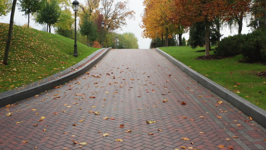Beautiful autumn park with green lawn and trees with autumn colored foliage.

