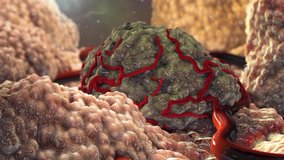 Cancer Tumor Cells 3D Illustration