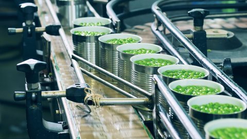 Factory transporter with tin cans filled with green peas. Food factory conveyor, automation concept.