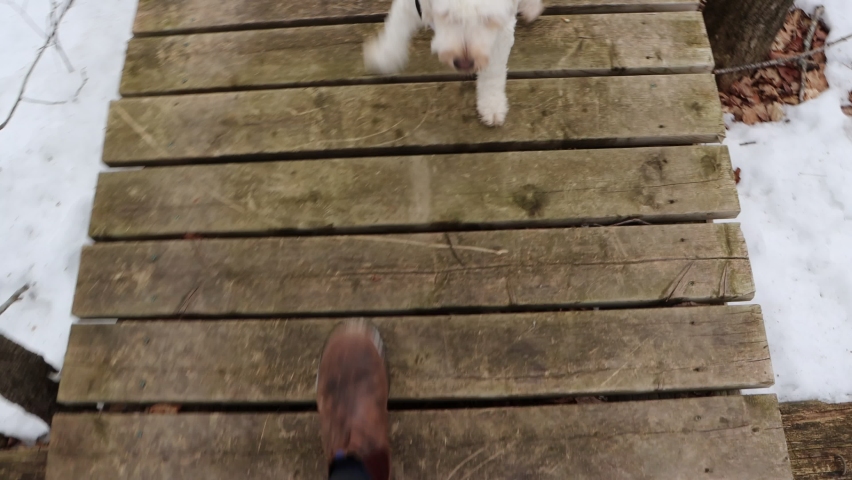 A Canadian winter walk through an Ontario sugar bush. This forest is filled with maple buckets collecting sap to boil down to maple syrup! Enjoy the foley sounds of nature and the snowy backgrounds.
