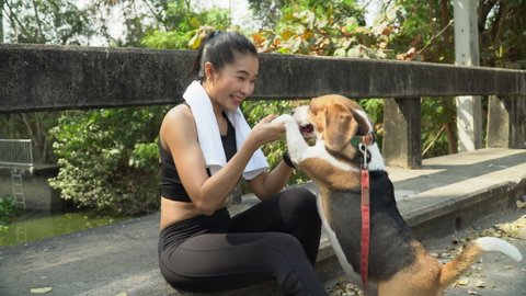 group of fit asian women wearing sportswear and towel  take a break after running playing with dog on road in park outdoors