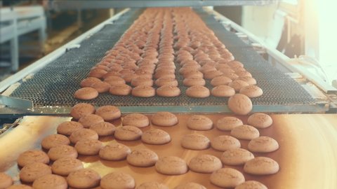 Industrial food factory or bakery, cookies on automated production line or conveyor belt, confectionery plant or bakehouse