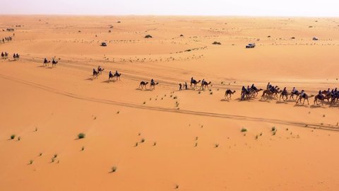 Aerial view of a camel cavalcadeing over the Arabian desert, sunny day, in Saudi Arabia - pull back, drone shot
